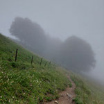 Der Regen und der aufkommende Nebel schufen eine mystische Stimmung