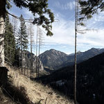 ... wanderten wir wieder zurück auf den Großen Mitterberg...