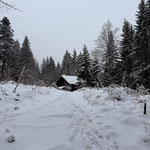 ... führte uns an dieser Holzhütte vorbei...