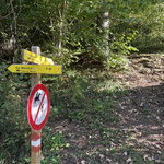 ... und gleich darauf bei einer Abzweigung nach rechts in den Wald