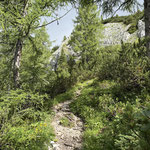 Ein steiler werdender Pfad führte uns durch den Wald aufwärts