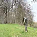 Vorbei an der ersten Station des Kreuzweges - direkt dahinter ging es in den Wald hinein
