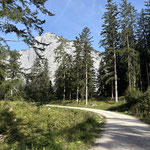 Gemütlich wanderten wir entlang der Forststraße dahin...