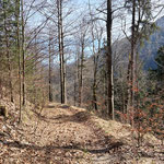 ... retour Richtung Kremsursprung