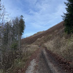 Jetzt waren wir wieder auf unserer ursprünglich geplanten Route und folgten der Forststraße bergwärts bis zu...