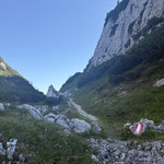 ... hatten die Ausläufer der Almwiesen erreicht, die das Plateau prägten