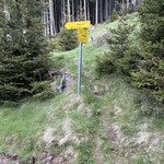 Hier einige Impressionen des Waldaufstieges