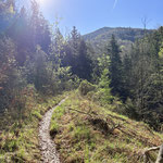 Über einen schönen Steig ging es über Wiesen und durch den Wald aufwärts