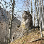 Schließlich machten wir uns an den Abstieg entlang der Aufstiegsroute - über den Waldkamm, den steilen Pfad...