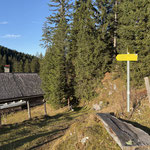 Hier verließen wir unsere Aufstiegsroute und zweigten nach rechts von der Forststraße ab
