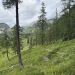 Nun hieß es, einige Höhenmeter abzusteigen, um zur Ischler Hütte zu gelangen