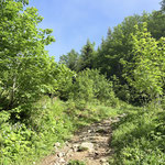 Und endlich waren wir auch wieder in der Sonne