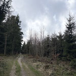 ... dem Verlauf eines Karrenweges folgend