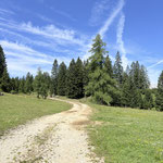 Wir passierten die Bergstation eines kleinen Schleppliftes und wanderten noch ein Stück weiter, bis rechterhand diese Forststraße abzweigt