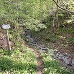 Über einen schönen Waldpfad ging es nun aufwärts