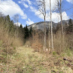 ... bis wir über einen schönen Waldpfad weiter aufstiegen