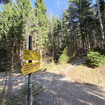 Gemütlich ging es durch den Wald dahin, wir erreichten ein Mal die Forststraße und querten sie lediglich