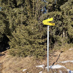 Nachdem wir eine ausgiebige Gipfelrast genossen hatten, folgten wir dem Lidaun Rundweg nun talwärts. Jedoch nicht entlang unserer Aufstiegsroute, sondern in die andere Richtung
