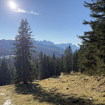 Nachdem wir hier am Gipfel eine ausgiebige Rast genossen hatten, ging es entlang unserer Aufstiegsroute retour zur Plankensteinalm