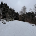 ... und weiter über die Forststraße
