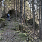 Entlang des Bergrücken geht es durch den Wald bergwärts