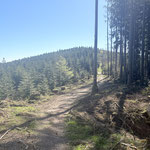 Am Ende des steilen Waldweges erreicht man einen Karrenweg