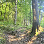 Hier ein paar Impressionen dazu