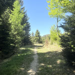 Am vorhin beschriebenen (für mich schönsten) Teil der Tour wanderte ich entlang der Aufstiegsroute retour 
