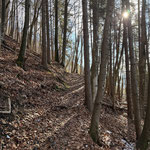 Der Waldpfad führte uns entlang einer steilen Bergflanke aufwärts