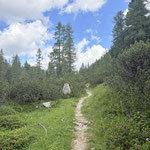 Wir wanderten ohne nennenswerte Höhenmeter weiter und folgten der Beschilderung Richtung Liezener Hütte