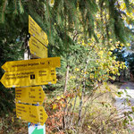 Wir folgten der Forststraße entlang unserer Aufstiegsroute bis zu diesem Schild - hier ging es nicht wieder in den Wald hinein, sondern der Forststraße folgend abwärts Richtung Franzl im Holz