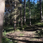 Nach gut 100 Höhenmetern erreichten wir eine Gabelung, bei der es für uns nach rechts ging. Wir waren nun am Hinterberger Panoramaweg