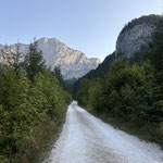In den frühen Morgenstunden wanderten wir zunächst entlang der Forststraße taleinwärts