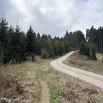 Gleich darauf verläuft der Weg direkt neben der Forststraße vorbei