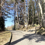 Wir passierten die Parkplätze des Gasthofes und die Ausläufer der Bogensportanlage, während wir über die Straße spazierten - bei dieser Gabelung zweigten wir auf einen gemütlichen Wanderweg ab