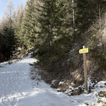 Gleich nachdem wir die beiden Hütten passiert hatten, erreichten wir eine Kehre der Forststraße, bei der der Weg zur Hirschmauer markiert abzweigt
