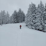 Am oberen Ende der Schlepplifttrasse angekommen, ging es nach links. Dieser letzte Anstieg durch den Wald trennte uns noch vom Gipfel