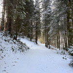 ... und gemütlich durch den Wald