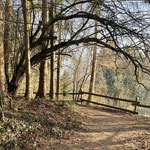 Und so fand die heutige Wanderung...