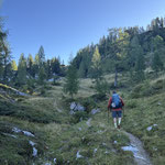 ... und durch einen schönen Hochwald,...