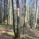 Der höchste Punkt des Spadenberges gibt nicht allzu viel her - folgt man dem Weg in entgegengesetzte Richtung weiter...