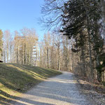 Nach einer ausgiebigen Einkehr auf der Grünbergalm machten wir uns entlang der Aufstiegsroute wieder an den Abstieg