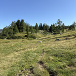 Gemütlich wanderten wir über die Almwiese 