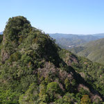 嶽の森山雄岳