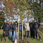 Foto: Katja Lißke (Leipzig pflanzt)