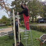 Foto: Katja Lißke (Leipzig pflanzt)