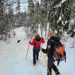 En chartreuse on retrouve la piste après 1h45 de progression en foret.