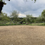Weitblick