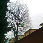 Potatura alberi con Autogru