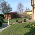 Taglio erba con sfalciatura